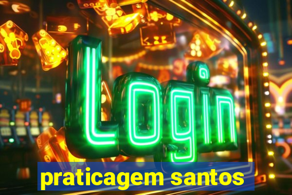 praticagem santos